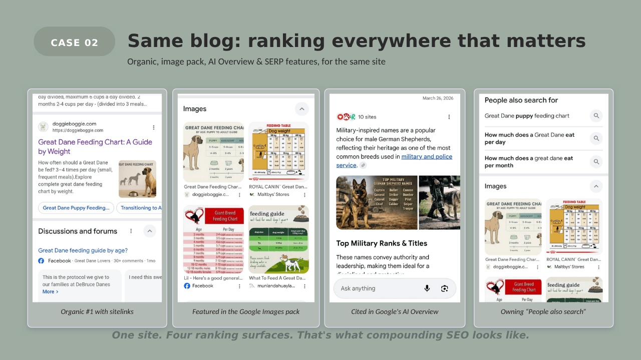 Same Blog: Ranking Everywhere That Matters